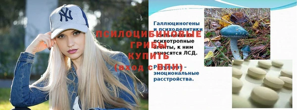 мдпв Надым