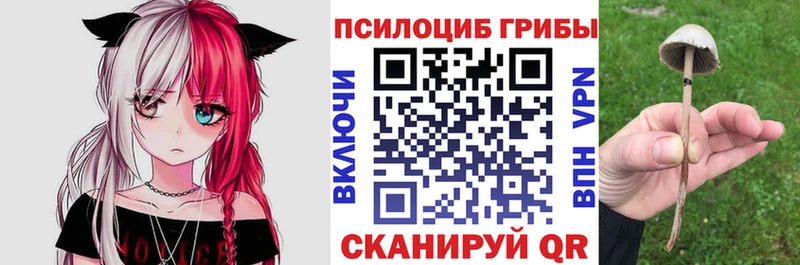 купить закладку  Балаково  нарко площадка наркотические препараты  Галлюциногенные грибы ЛСД 